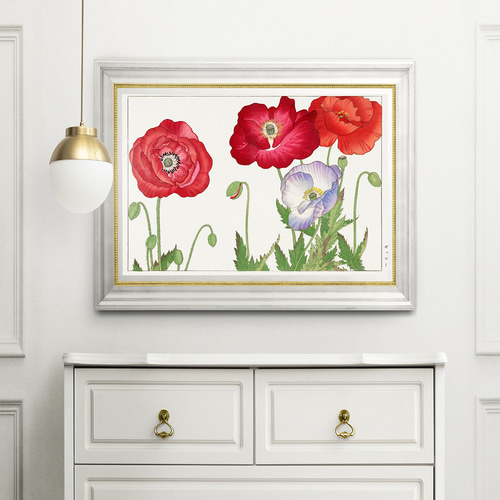 NO.457】ポピーの花の日本画絵画アートポスター☆赤色和室インテリア和