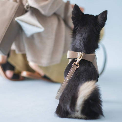 WINTER SALE]バックリボンレザーハーネス グレージュ リード・首輪