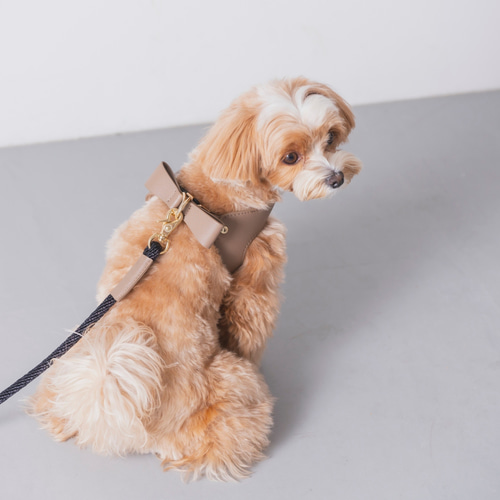 バックリボンレザーハーネス グレージュ リード・首輪 Milla Noue