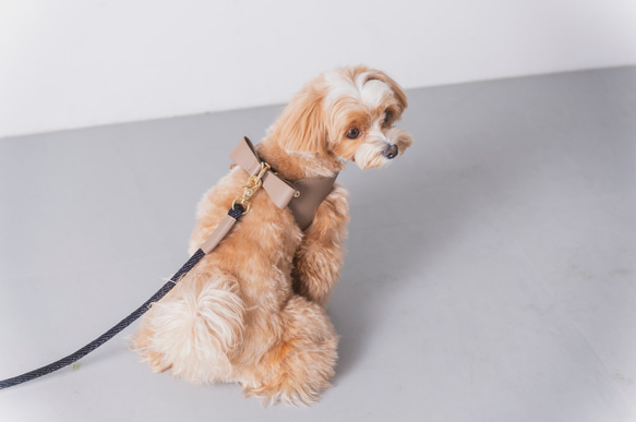 大型犬 英国高級 ハーネス リード カーラー(首輪) お散歩バック リボン 楽天市場】犬 ハーネス リード 首輪 3点セット 犬用 リード 犬用