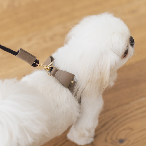 WINTER SALE]バックリボンレザーハーネス グレージュ リード・首輪