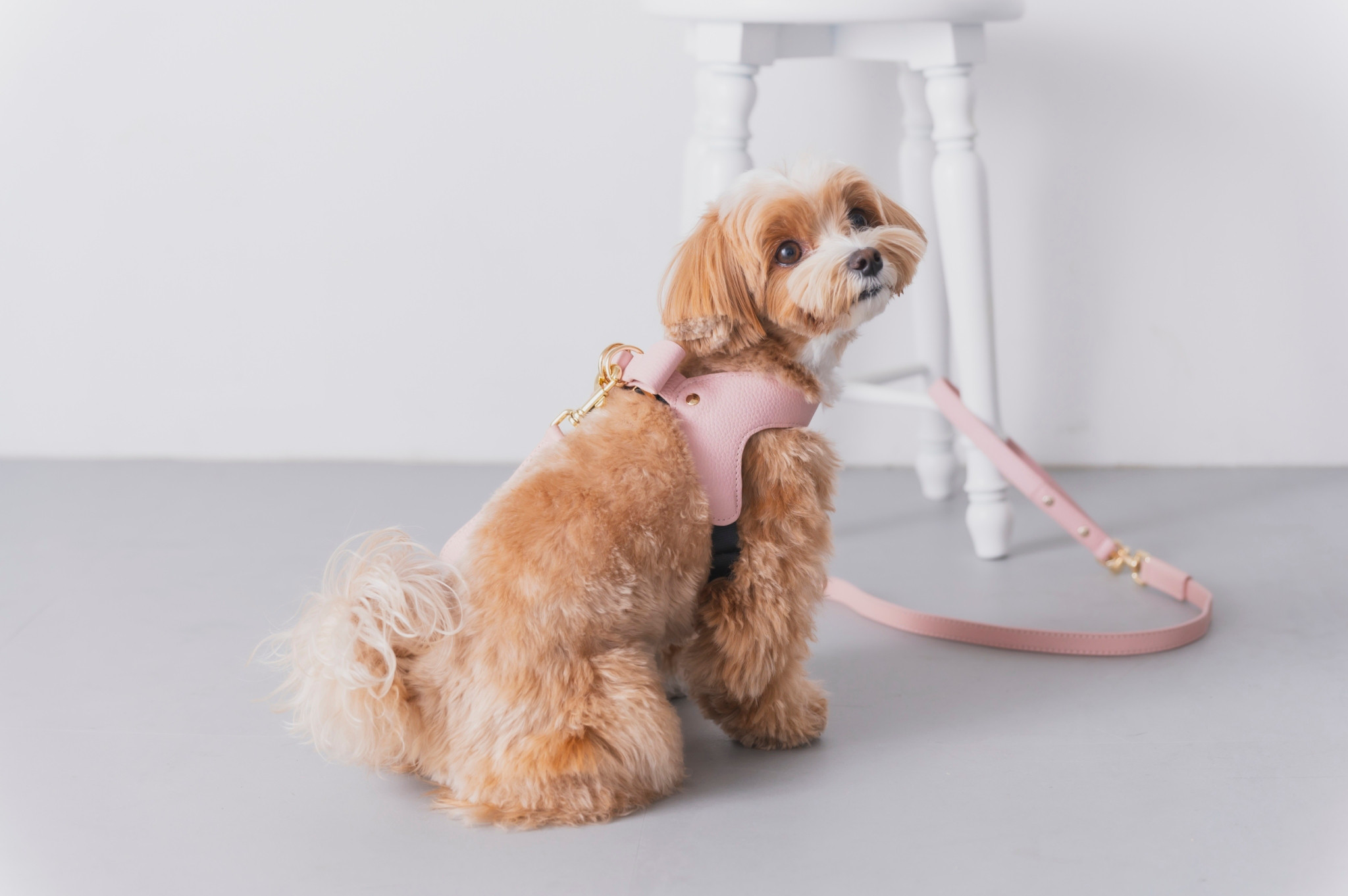 [WINTER SALE]バックリボンレザーハーネス　ピンク