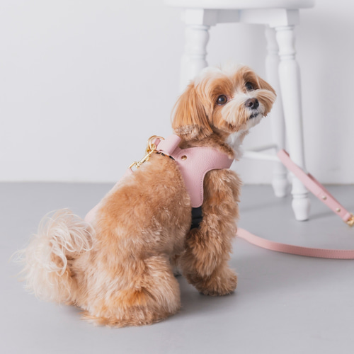 バックリボンレザーハーネス ピンク リード・首輪 Milla Noue