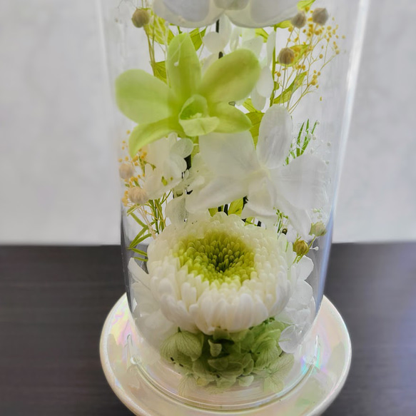 【送料無料】爽やかグリーンのガラスドーム仏花（大） 4枚目の画像