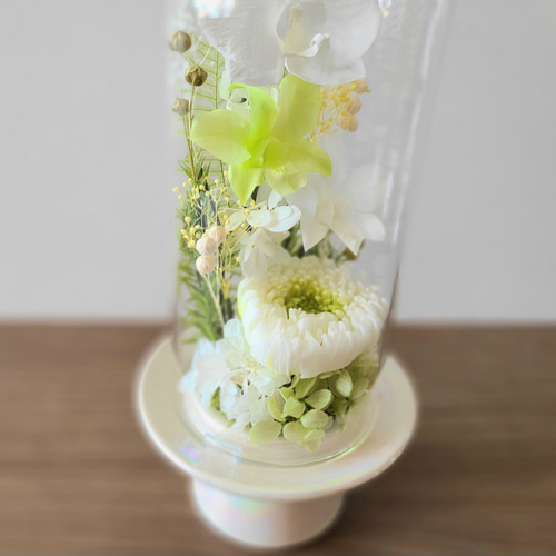 送料無料】爽やかグリーンのガラスドーム仏花（大） プリザーブド
