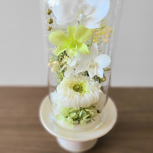 送料無料】爽やかグリーンのガラスドーム仏花（大） プリザーブド