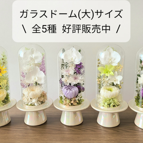 ラスト1個‼️ガラス台座 タワーやフリーフォーム　フリーカットやフィギュアにも♡♡ 送料無料】爽やかグリーンのガラスドーム仏花（大） プリザーブド