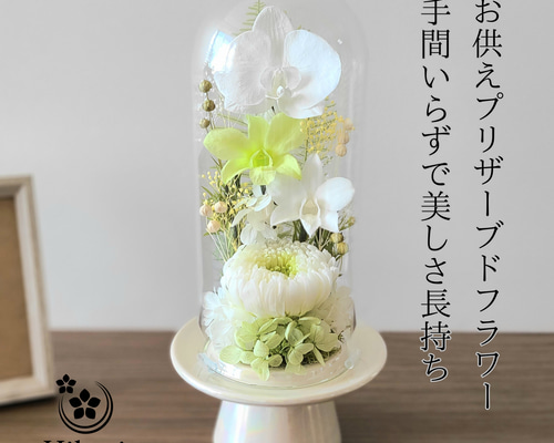 cf0e3c48e5f67d6aa00bafd4cde553