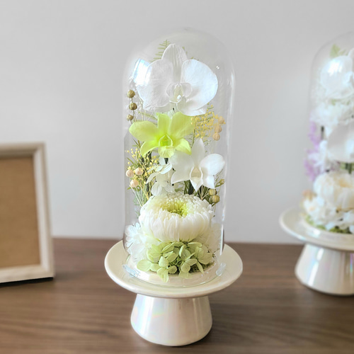 特選仏花　 ガラスドーム　大　(2個) 造花無し プリザーブドフラワー 送料無料】爽やかグリーンのガラスドーム仏花（大） プリザーブド