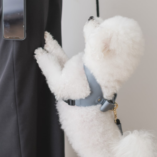CDOｰSLHS20CEM〈BK〉】犬の首輪〈サイズ「M」〉 牛革 人気