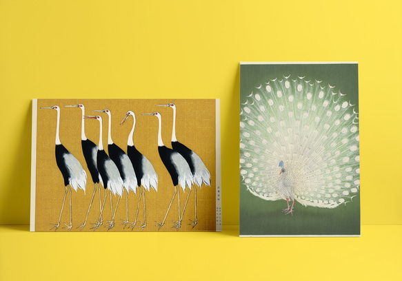 【NO.37】白い孔雀の日本画アートポスター和柄☆お正月鳥和モダン和室インテリア雑貨☆ハガキA4A3A2A1B4B3B2 6枚目の画像
