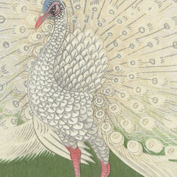 【NO.37】白い孔雀の日本画アートポスター和柄☆お正月鳥和モダン和室インテリア雑貨☆ハガキA4A3A2A1B4B3B2 3枚目の画像