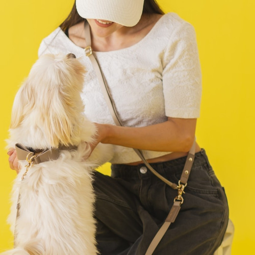 CDOｰSLHS20CEM〈BK〉】犬の首輪〈サイズ「M」〉 牛革 人気