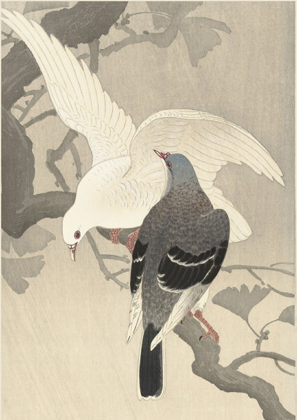 【NO.183】鳩の日本画アートポスター☆浮世絵画和室インテリア和モダン鳥ナチュラル癒しA5A4A3A2A1B5B4B3 2枚目の画像