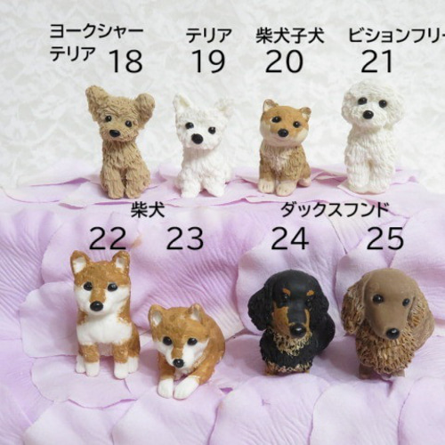 送料無料】 天国へ旅立った君へ～ ペットが選べる 虹の橋フラワー