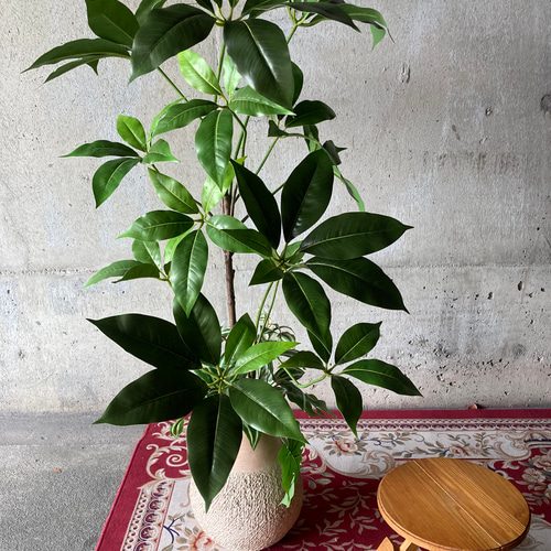 国内在庫】 光触媒 人工観葉植物 ウォールグリーン フェイクグリーン