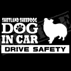 『犬種名・DOG IN CAR・DRIVE SAFETY・シェットランド シープドッグ』ステッカー　9cm×17cm 1枚目の画像