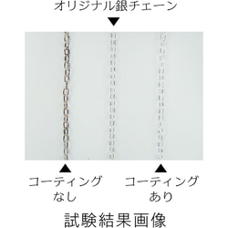 もうクリーナー液も磨きクロスも不要！　塗るだけでクセサリーの輝きを長期間保ちます！　「ジュエリープロテクト (30g)」 6枚目の画像