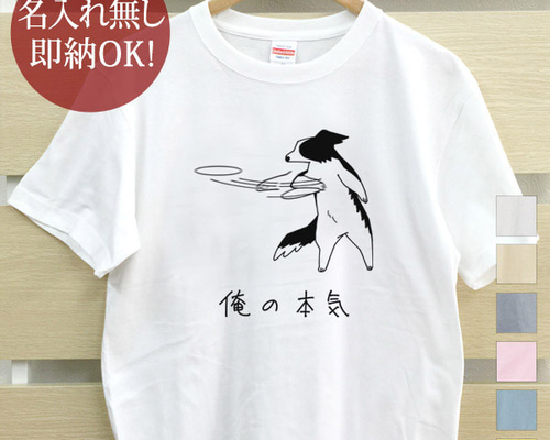 6b52d7ec73e7c8425d270676d9ce3e