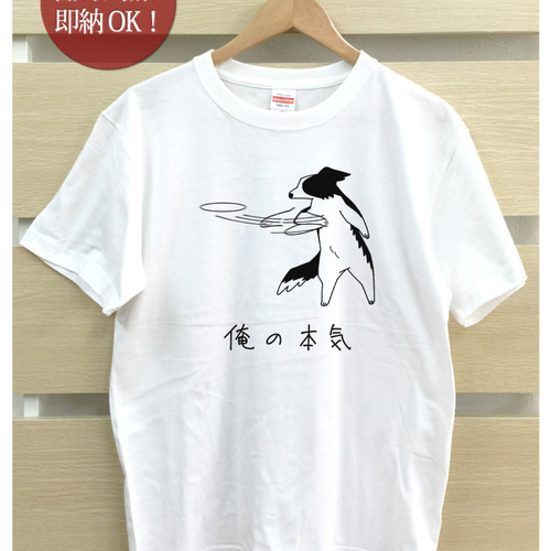 即納 俺の本気シリーズ ボーダーコリー おもしろTシャツ 綿100