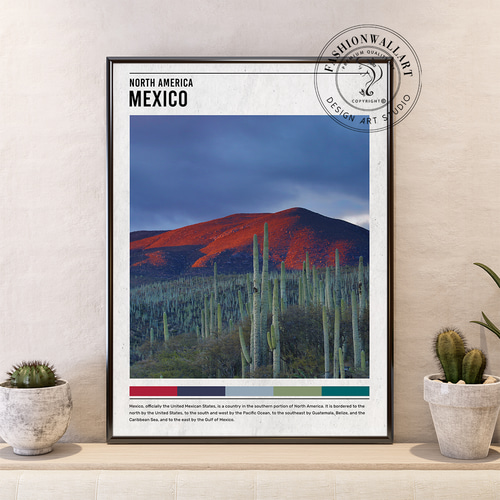 アートポスター サボテン 風景画 メキシコ 砂漠 夕暮れ 山脈 自然写真