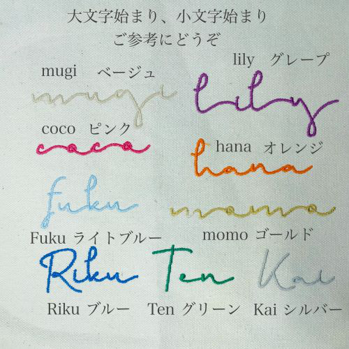フラットポーチ大 韓国風手書きフラワー/お名前入り/刺繍/推し活/犬/猫
