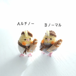 【受注制作】オカメインコのあみぐるみ夏ver. 2枚目の画像