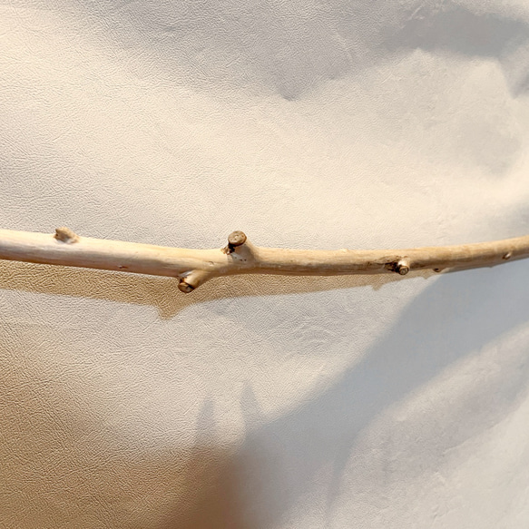 オホーツク流木　枝付きハンガーラック　S字　119cm　シルバー 3枚目の画像