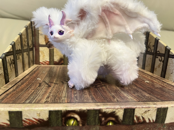 不思議動物、大きい耳の白い毛布ドラゴン　 8枚目の画像