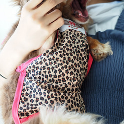 犬服　ダックスちゃんのヒョウ柄のお散歩エプロン　　ピンク紐　女の子用 10枚目の画像