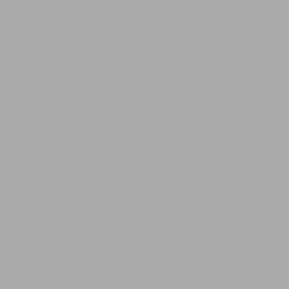 14Kゴールド デイジー·フラワー 花 ヘリックス 軟骨 アンチトラガス インナーコンク イヤリング バーベル ピアス 13枚目の画像
