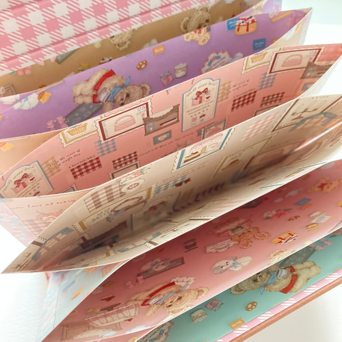 はぴそる様専用①5点 蛇腹ファイル おすそ分けファイル 061101