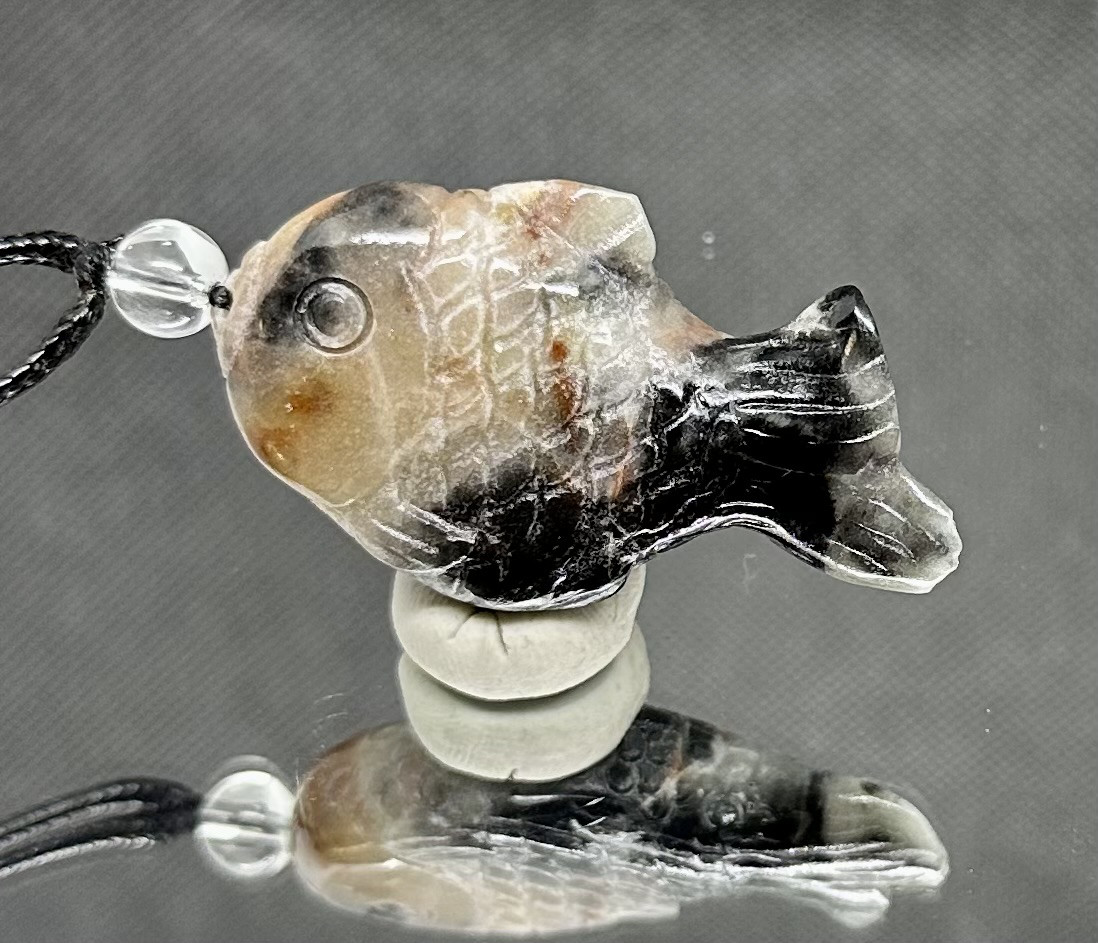 熱帯魚