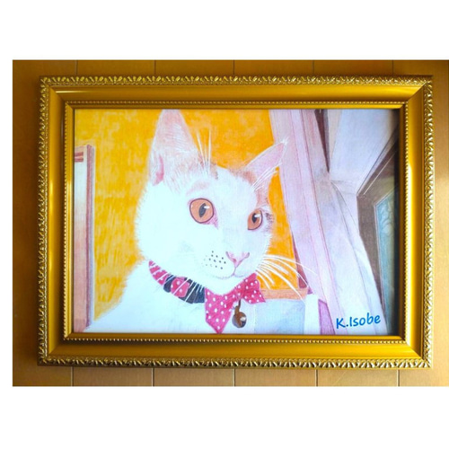 色鉛筆画 白猫 A4