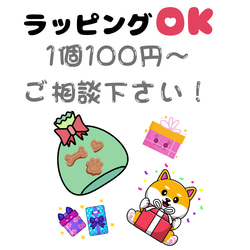 【自家製】さっさみぃ(ぱくぱく)　ひとくちジャーキー　地養鳥ささみ　犬のおやつ 5枚目の画像