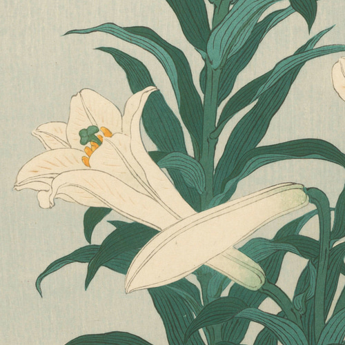 日本画 花の絵 版画　昭和レトロ　アンティーク 08dfa37691db4d31d6b14cdaa5e688