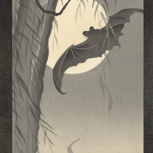 NO.252】蝙蝠と月の日本画アートポスター☆浮世絵和柄モノトーン