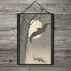 2669b6bb8acd7b92d1191504d7a344