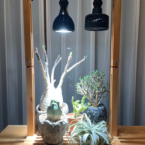植物育成LEDライトスタンド［オーク］回転式サーキュレーター