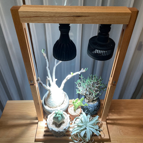new! 一押し、植物育成LEDライトスタンド［ナラ］LED.サーキュレーター