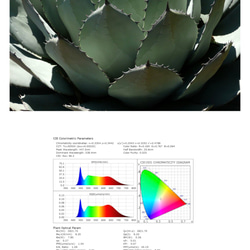 植物育成LEDライトスタンド［ナラ］LED.サーキュレーター付属 13枚目の画像