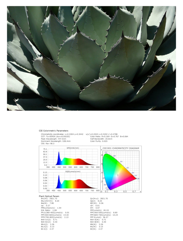 植物育成LEDライトスタンド［ナラ］LED.サーキュレーター付属 13枚目の画像