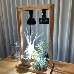 ハルデザイン 植物育成ライト LEDライト　サーキュレーター　セット コスパ最高】はるデザインHaruDesignから新型植物育成LED用