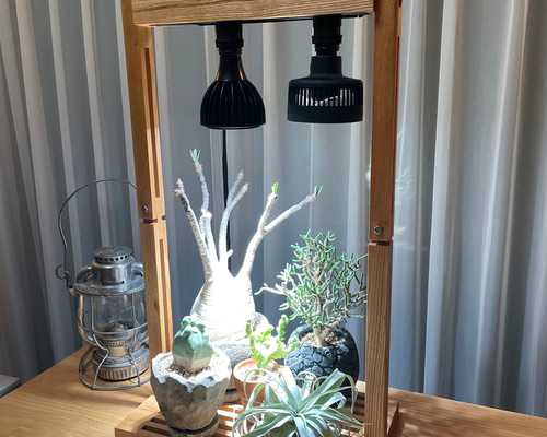 9b092e2daa5243806c679391c55056