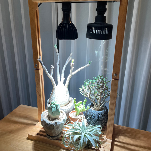 new! 一押し、植物育成LEDライトスタンド［ナラ］LED.サーキュレーター
