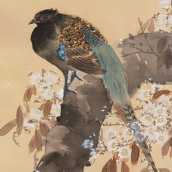 【NO.321】雉と桜の花鳥図の日本画アートポスター☆和柄鳥植物浮世絵和モダン玄関料亭和室インテリアB5B4B3B2B1 3枚目の画像