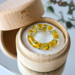 スターチス の 指輪 オレンジ グリーン クリアリング 木製ケース