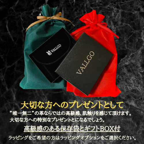 スタースティングレイ ミニ財布 ガルーシャ コインケース 小銭入れ