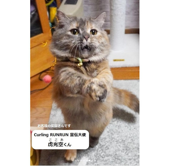 猫用おもちゃ、Curling RUNRUNーカーリングるんるんー＠R＆Sセット 10枚目の画像