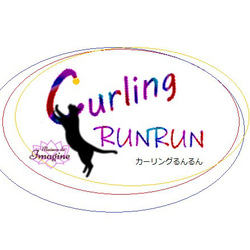 猫用おもちゃ、Curling RUNRUNーカーリングるんるんー＠R＆Sセット 5枚目の画像